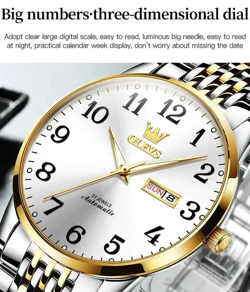 OLEVS 6666 Men's Luxury Automatic Mechanical Luminous Watch - Features