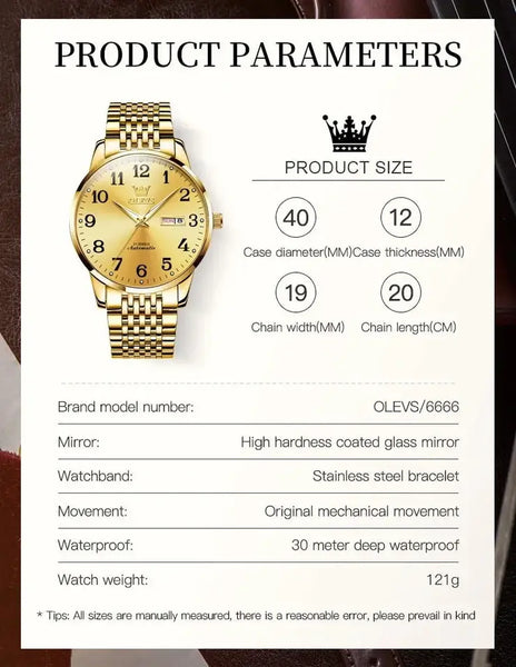 OLEVS 6666 Men's Luxury Automatic Mechanical Luminous Watch - Specifications