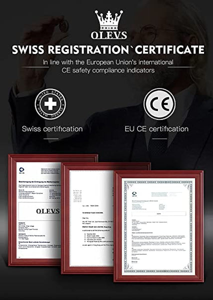 OLEVS 6666 Men's Luxury Automatic Mechanical Luminous Watch - Swiss And EU Certifications