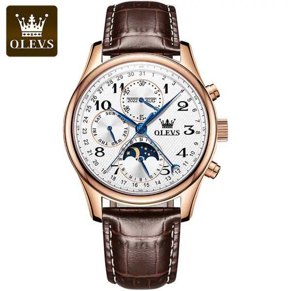 OLEVS 6667 Men's Luxury Automatic Complete Calendar Luminous Wristwatch With Moon Phase