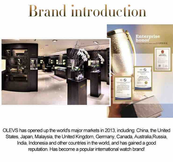  OLEVS 6630 Men's Luxury Automatic Mechanical Luminous Watch - Brand Introduction