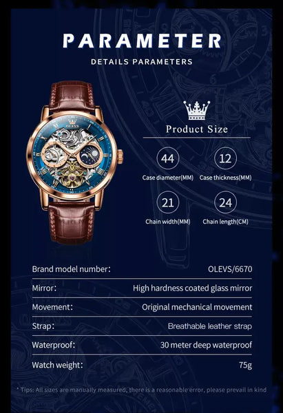 OLEVS 6670 Men's Luxury Automatic Mechanical Skeleton Design Luminous Watch - Specifications