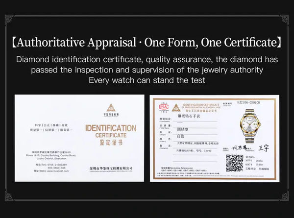 OUPINKE 3199 Men's Luxury Automatic Mechanical Swiss Movement Luminous Watch - Diamond Certificate